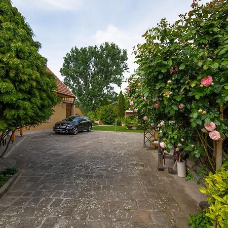 Bonifert Vendeghaz Hotel Dunabogdány Exterior foto