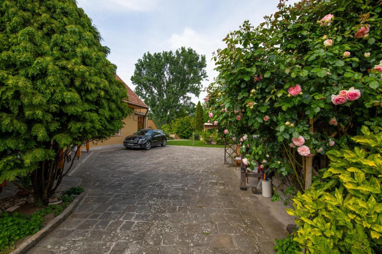 Bonifert Vendeghaz Hotel Dunabogdány Exterior foto