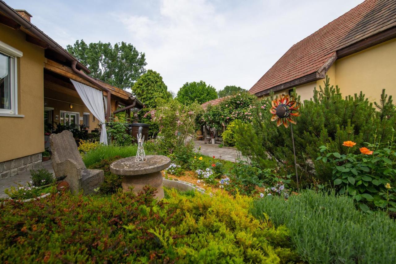 Bonifert Vendeghaz Hotel Dunabogdány Exterior foto