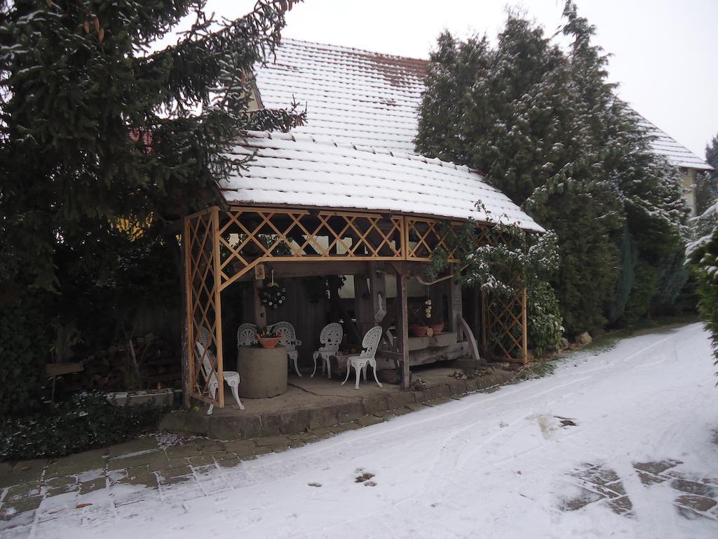 Bonifert Vendeghaz Hotel Dunabogdány Exterior foto